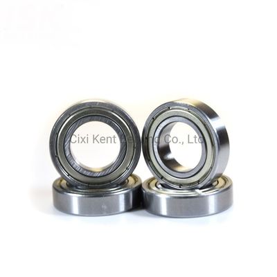Radiallagers Dgbb 69 serie 6900 6901 6902 6903 6904 6905 RZ kogellagers voor machines