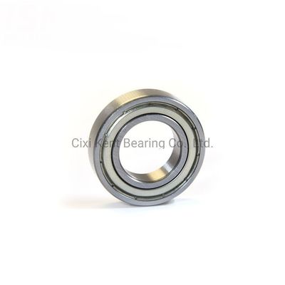 Radiallagers Dgbb 69 serie 6900 6901 6902 6903 6904 6905 RZ kogellagers voor machines